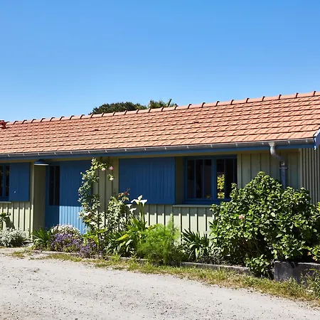 Yndo Au Cap-ferret Lège-Cap-Ferret